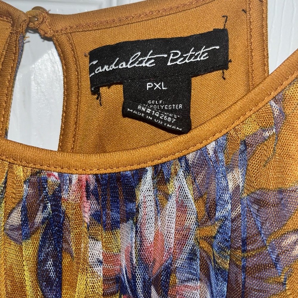 LNWOT, Candolite Petite Dress, Size PXL - Picture 6 of 8